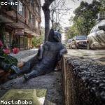 Waino Stracke Profile Picture