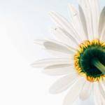 Teagan Jacobson Profile Picture