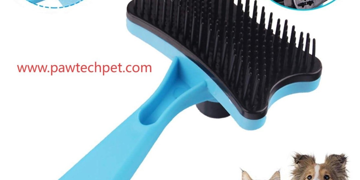 Can Pawtechpet Pet Brush Manufacturer Inspire New Care Rituals