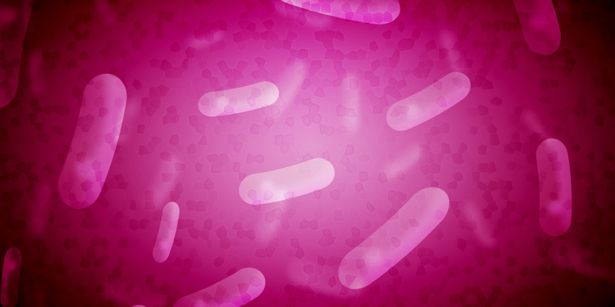 Advancements in Online Access to Provigil: A Complete Information to Buying Safely And Successfully