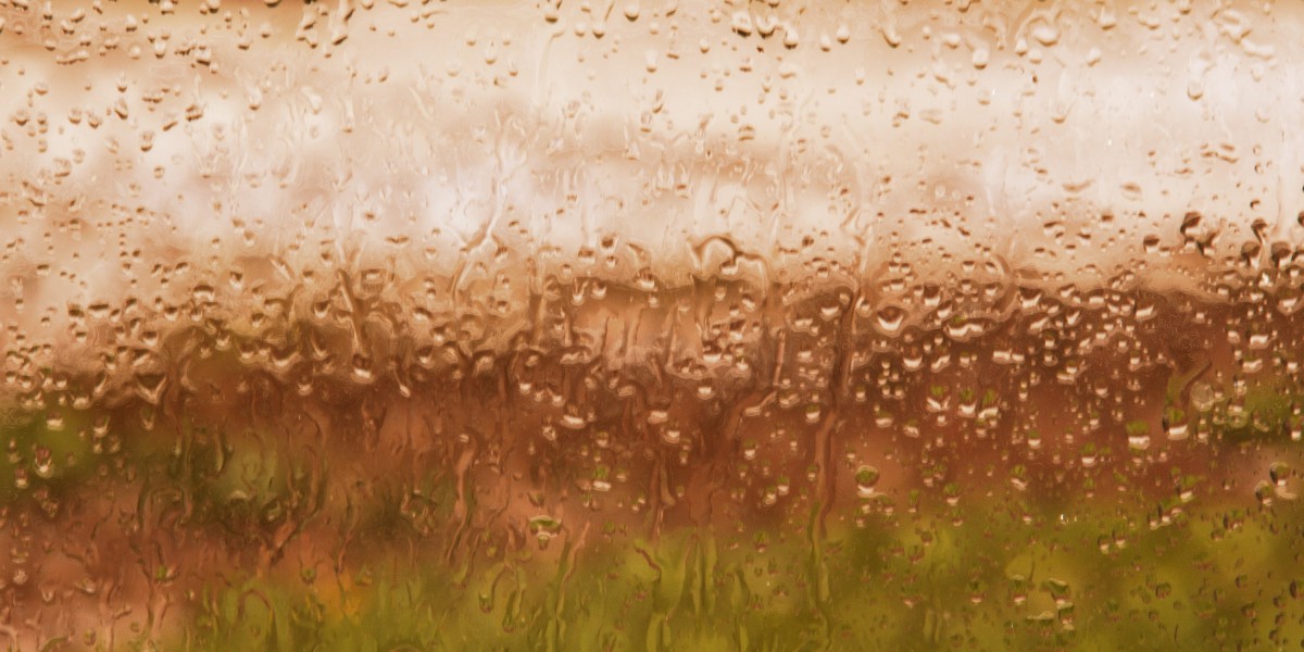 Investing in Gold and Silver: A Case Research on Gold And Silver IRA Companies