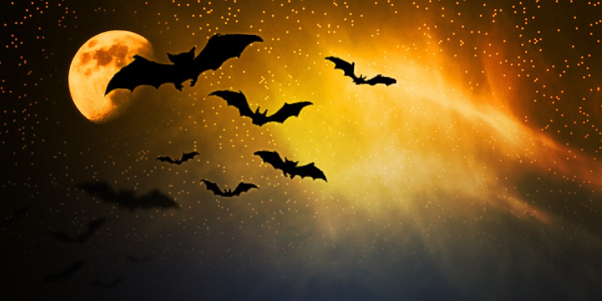 Revolutionizing Air Travel: The Way Forward For Charter Jet Services