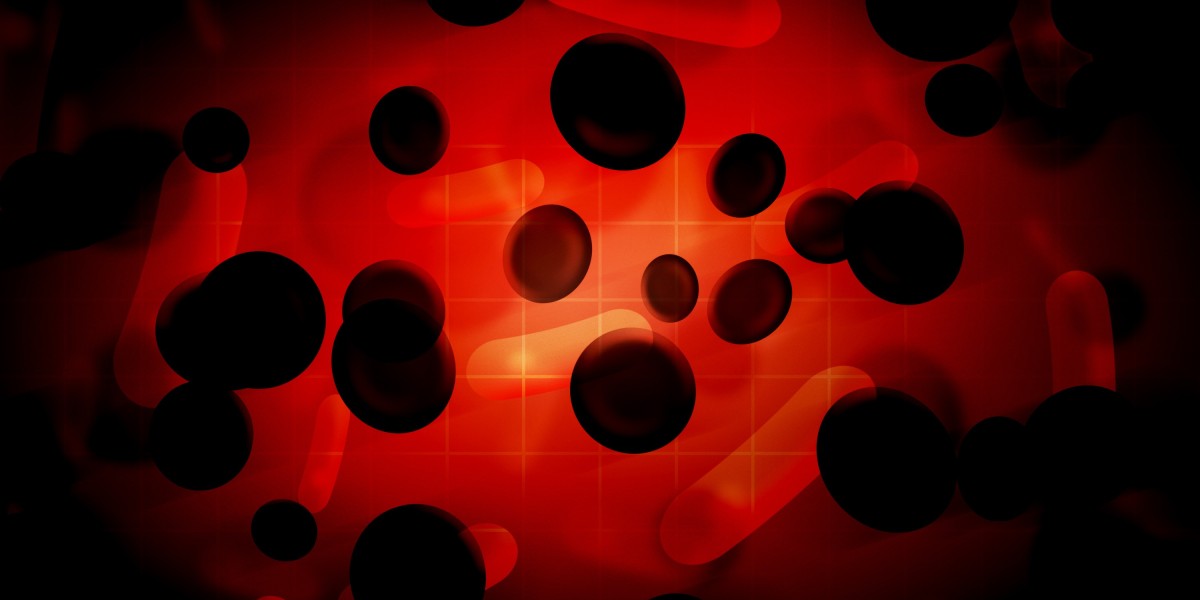 Exploring Online Opinions of Modafinil: Insights From Client Experiences