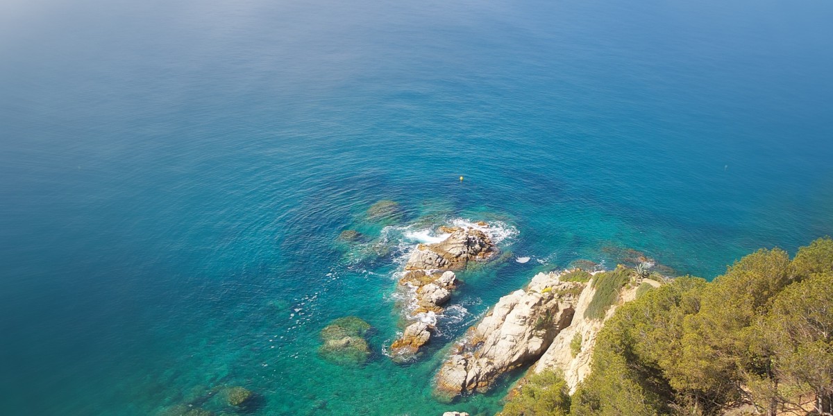 Observational Analysis on the Acquisition of Low-cost Modafinil: Traits And Implications