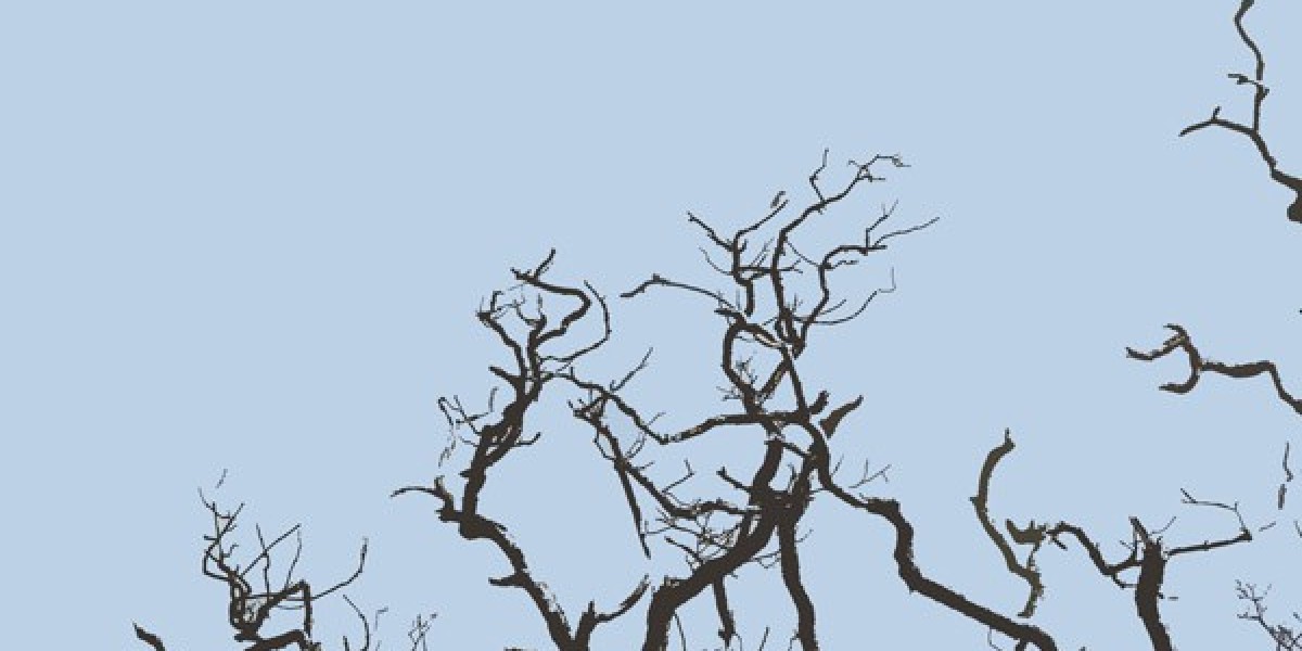 Best Online Casinos Australia in 2025 AUS Casinos Reviewed