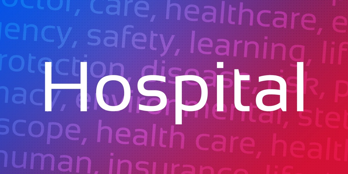 The Rise of Sugar Daddy Websites In Hawaii: A Case Study