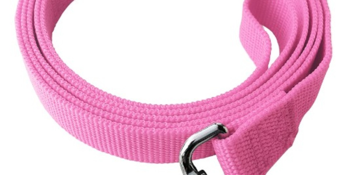 Why Does Opey Apply Stricter Dog Leash Quality Standards?